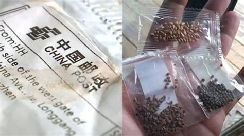 We hear that some sellers might be sending stuff so they can. WEIRD: Hundreds of Americans receive mystery seeds mailed ...