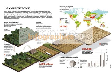 Infografía La Desertización Infographics90
