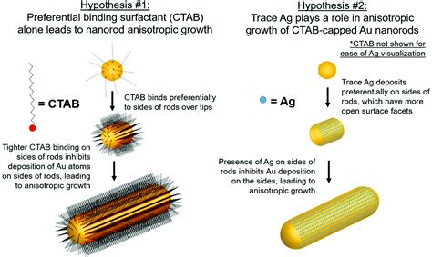 The Role Of Trace Ag In The Synthesis Of Au Nanorods Nanoscale Rsc Publishing Doi