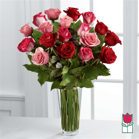 Beretanias 2 Dozen True Romance Rose Bouquet Colors Vary In Honolulu