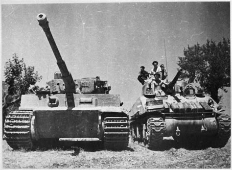 A Good Size Comparison Of Size With A Tiger 1 To A M4 Sherman Tiger