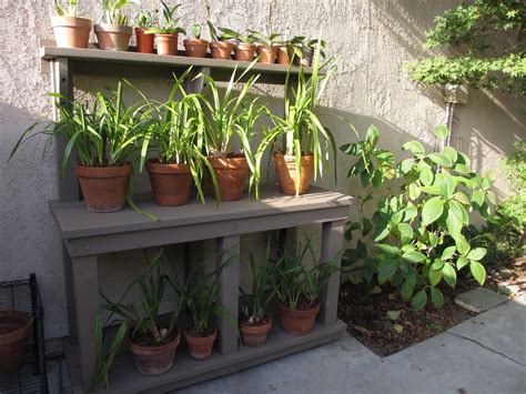 Orchids aren't necessarily as difficult to grow as you might think. New Potting Bench / Orchid Stand..... My husband built for ...