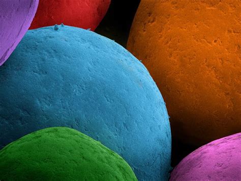 What does an electron look like under a microscope. Close-up cuisine: Food under the microscope | Things under ...