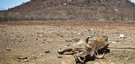O sertão quebrou minhas luar do sertão. Sertão do Nordeste: um deserto em 25 anos? - Instituto ...