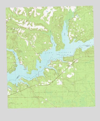 Lake Talquin Fl Topographic Map Topoquest