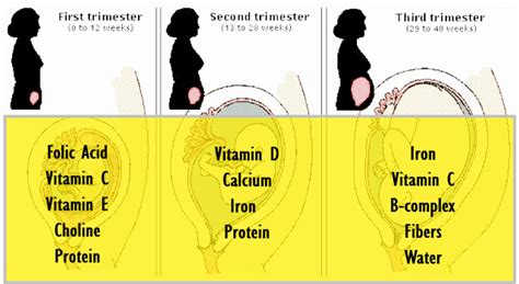 Pin on Indian Diet Plans/ Indian Diet Charts