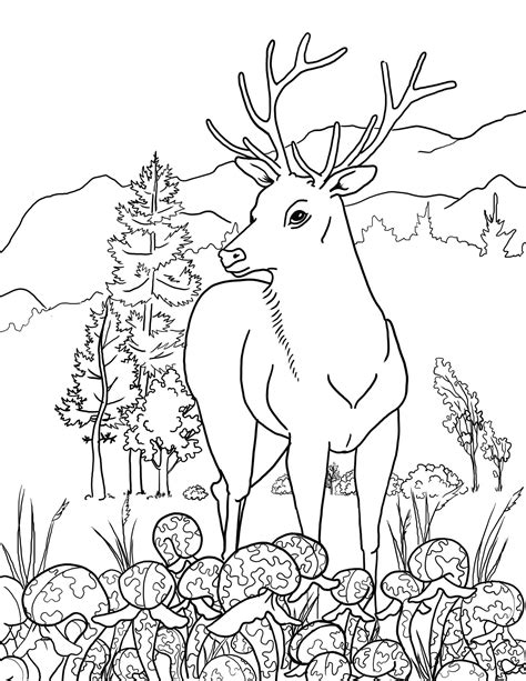 The Wildlife Scenery Coloring Book Download Printable Coloring Etsy Uk