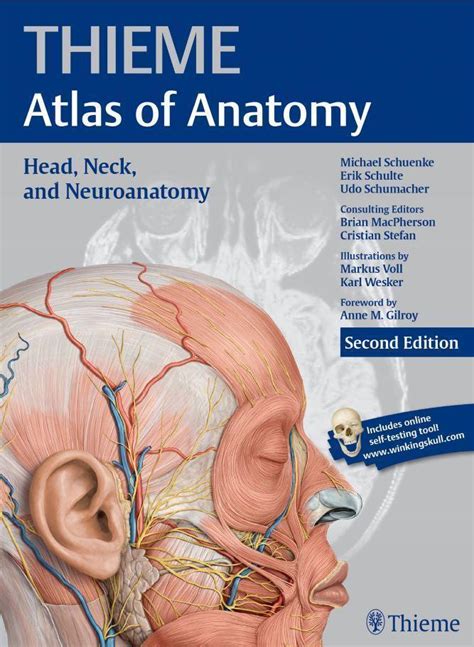 Thieme Atlas Of Anatomy Head Neck And Neuroanatomy 2nd Edition Get