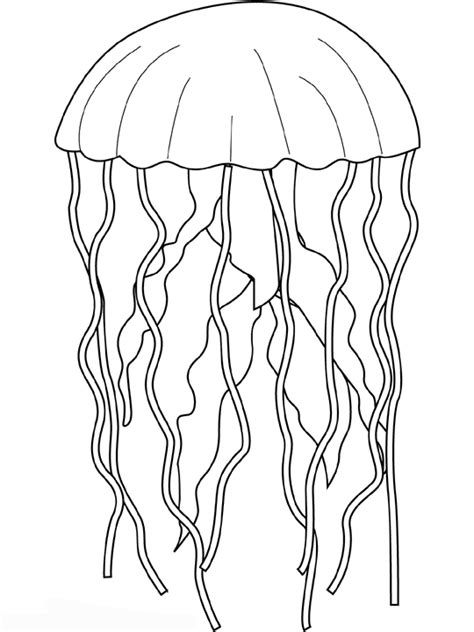 Many jellyfish are poisonous, so be careful when you see jellyfish while playing at the beach. Jellyfish #20483 (Animals) - Printable coloring pages