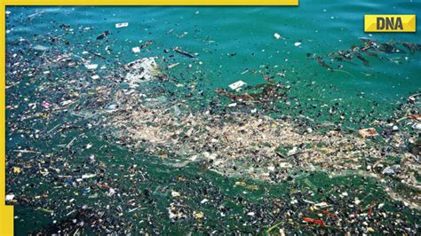 Dna Special What Is Great Pacific Garbage Patch And How It Poses