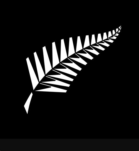 Pin By Bts On New Zeland Cricket Logo New Zealand Cricket Team