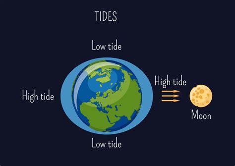 Four reasons why your co detector probably went off. TIDES: Where does the water go when the tides go out ...