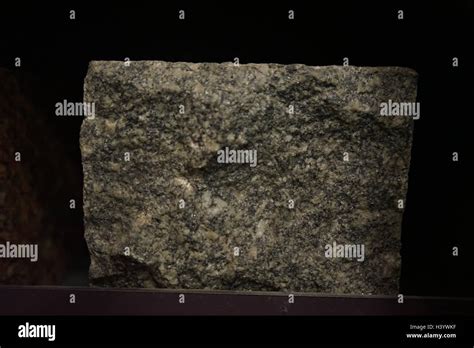 Sample Of Granite A Common Type Of Felsic Intrusive Igneous Rock That