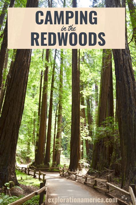 Camping In The Redwoods Tent Sites And Campgrounds We Stayed At