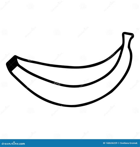 Banana Vector Drawing Doodles Hand Drawing One Banana Isolated On
