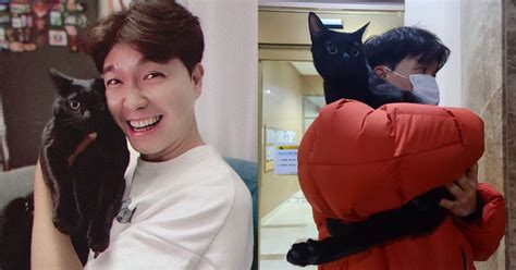 Maybe you would like to learn more about one of these? 박수홍 고양이 다홍이 / 미운우리새끼 박수홍 고양이 이름과 ...
