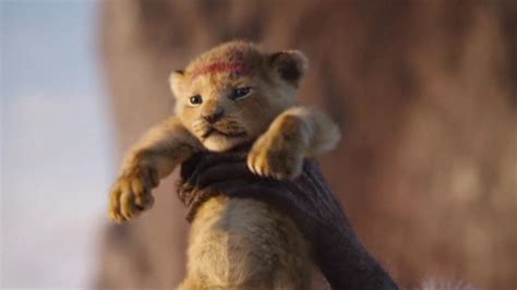 Check spelling or type a new query. 'Circle of Life' brings singer Lebo M back to 'The Lion ...