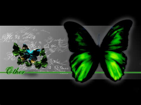 Beautiful Butterflies Butterflies Wallpaper 9481725 Fanpop
