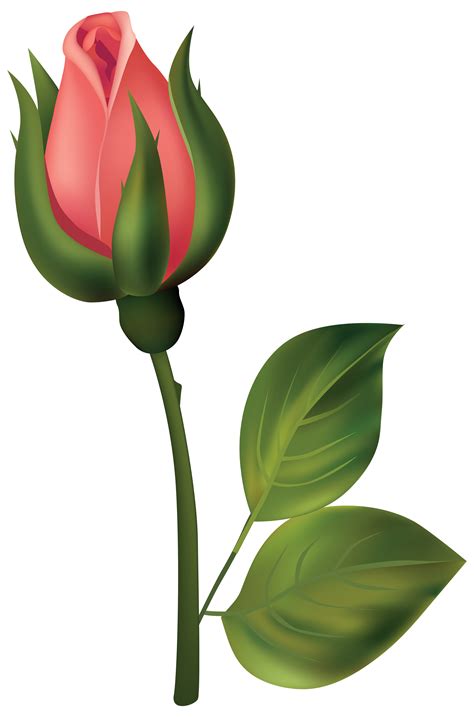 Rose Bud Clipart | Free download on ClipArtMag