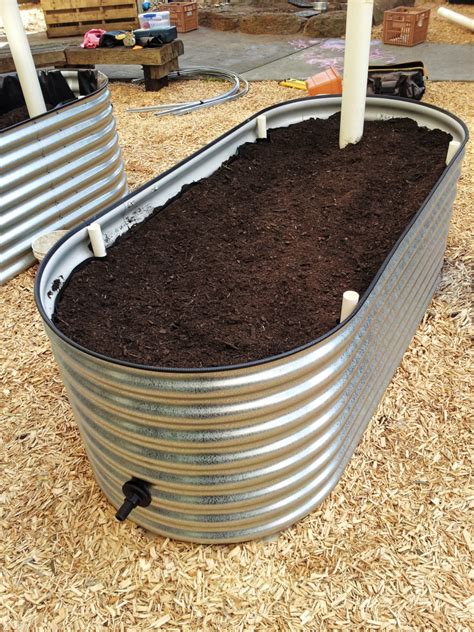 Wicking Bed Construction How To Build A Self Watering Wicking Bed