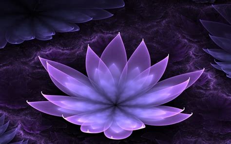 Lotus Flower Images Free Hd Desktop Wallpapers 4k Hd
