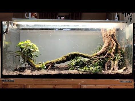 Kami juga menjual akuarium ukuran lainnya. Rescape Aquascape Tank 120cm I NATURAL STYLE - YouTube ...