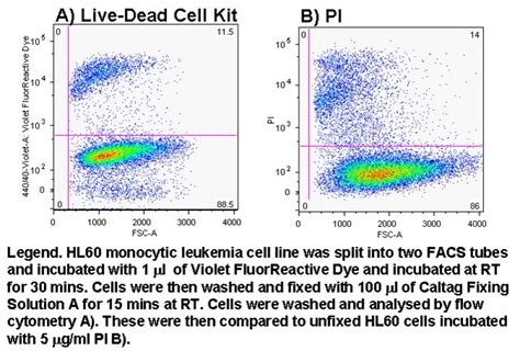 Violet (405nm) facscanto ii blue (488 nm). Viability, Flow Cytometry Core Facility
