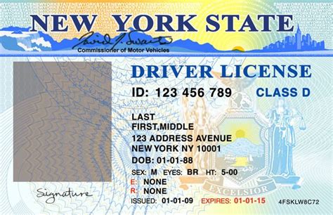 Free Editable Drivers License Template Holylio