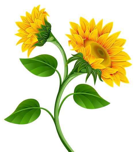 Sun Flowers Clipart 20 Free Cliparts Download Images On Clipground 2023