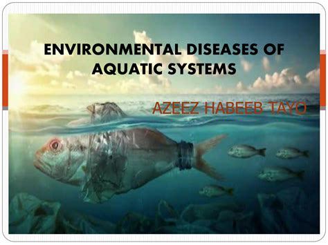 Solution Environmental Diseases Of Aquatic Systems Studypool