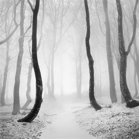 Frozen Forest Iv By Daniel Řeřicha On 500px Пейзажи Фото дерево