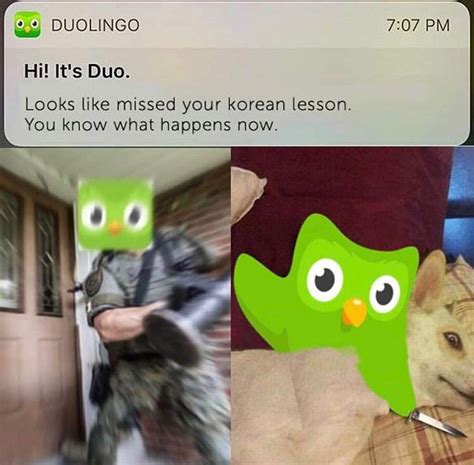 Some More Duolingo Memes Dank Memes Amino
