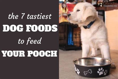 In this article we will help you know what to look for in best tasting dry dog foods and recommendations on how to tell which food your dog likes best with a blind taste test. 7 Tastiest Dog Foods To Feed Your Pooch