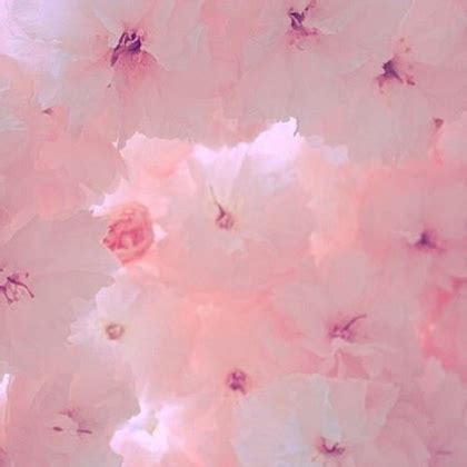 Petty on twitter cute color aesthetic decal ids bloxburg cute color aesthetic decal ids. pink aesthetic - Roblox