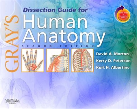 Buy Grays Dissection Guide For Human Anatomy With Student Consult