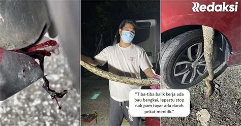 Sebuah kereta mempunyai bahagian yang paling penting iaitu enjin. Cemas darah pekat menitik dari enjin kereta, gadis ...