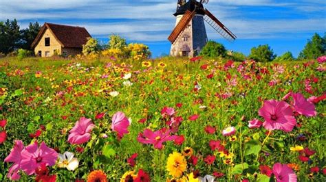 Download hd spring wallpapers best collection. Spring Nature Wallpapers - Wallpaper Cave