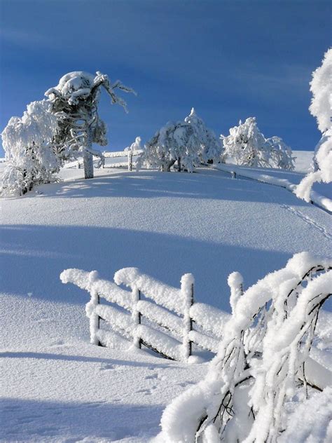 Luosto By Ilpo Laurila On 500px Winter Scenery Winter