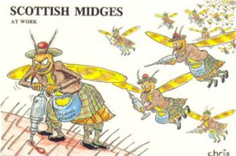 How to get rid of midges!!! Schotland > Reis > Allerlei > Midges