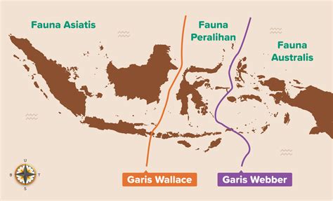 Persebaran Flora Dan Fauna Di Indonesia Flora Dan Fauna Kontinen Asia
