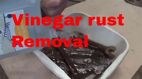 Rust Removal Time Lapse With Vinegar On Different Types Of Ironsteel