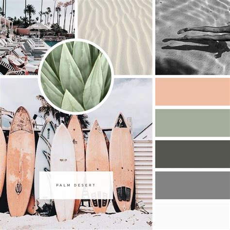BrandUp Color Palette // Palm Desert | Desert color ...