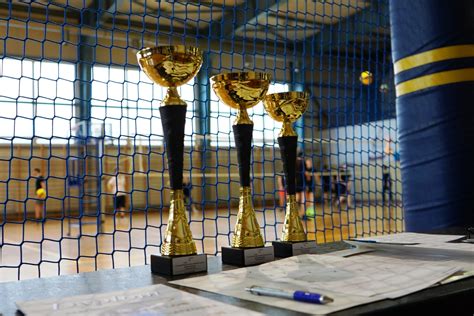 Turniej Piłki Siatkowej o Puchar Dyrektora I LO w Nowej Sarzynie I