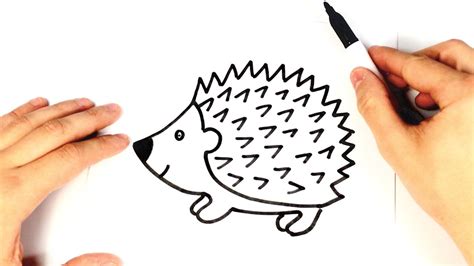 How To Draw A Hedgehog For Kids Hedgehog Drawing Lesson Youtube