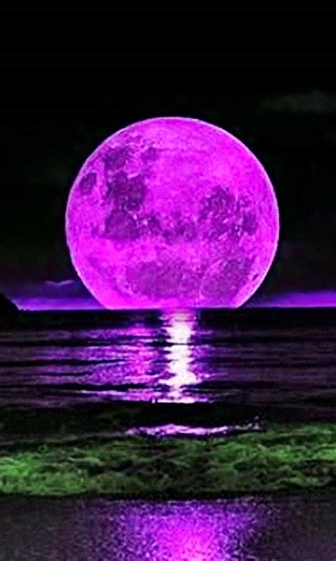 Growth is bursting forth as april arrives not the pink moon arrives in time for flowers, and as the bees buzz around your garden looking for. Pink Moon wallpaper by timothyczech - 04 - Free on ZEDGE™