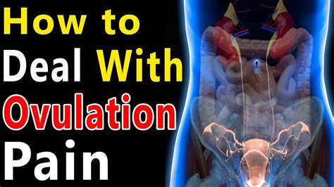 How To Deal With Painful Ovulation Youtube
