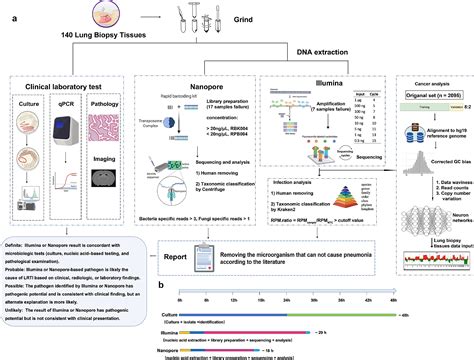 Metagenomic Next Generation Sequencing To Identify Pathogens And Cancer