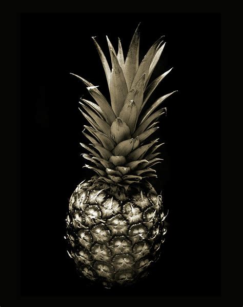 Pineapple In Sepia Photograph By Terence Davis Fine Art America