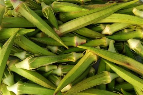 Check spelling or type a new query. Clemson Spineless Okra - Johnston Seed Company
