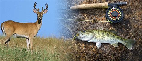 However, the preferences may differ from one state to another. Hunting and Fishing Licenses | Georgia Department of ...